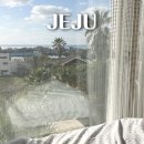 제이워시(J-WASH) | 제주도 서귀포 펜션 | 애견동반 가능한 가성비 숙소, 제이큐브펜션 후기