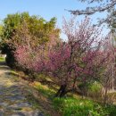 오솔길근린공원 이미지