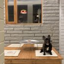 구미중앙로-15 이미지