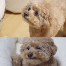 혜인농장 이미지