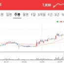 에이치에스모터스 이미지
