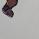 류마참내과의원 이미지