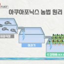 장어농장 이미지