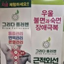 그리다플러렌 네이버블로그