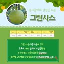 그린시스(Greensis)