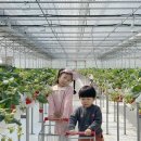 다인농장2 이미지