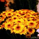 모악축사 이미지