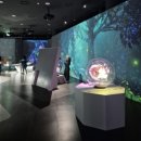 메타버스 | 강릉 메타버스체험관 방문후기