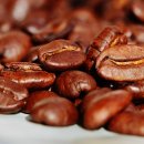 커피콩 이미지