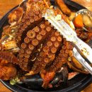 제주 반딧불 이미지