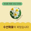 그린터드림