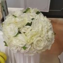 동물미용업 영업등록신청 이미지