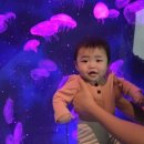 여행하리 네이버블로그