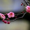 걷다보면 이미지