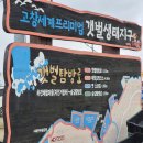 명품 체험장 | 전북 고창 갯벌축제 6월 아이랑 가볼만한 곳 만돌조개체험학습장 후기