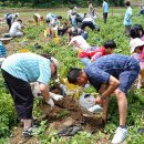 개화영농조합법인 이미지