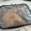 튀김마을김밥댁