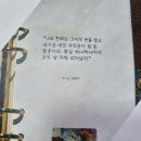 꽃쌤미꽃 이미지
