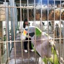 둥지성인PC게임랜드 | 경기도 오산 버드파크 실내 아이랑 비오는날 실내 추천 주차정보 내돈내산 솔직후기 총정리