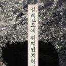 책소개(절해고도에 위리안치하라) 이미지