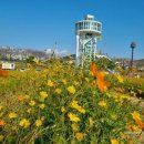 고열 이후 조금씩 몸발란스 조금씩 환청 이미지