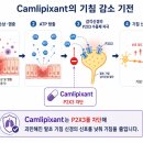(유)대금환경 - 2354 | GSK, 만성기침 치료제 camlipixant 3상 실패로 개발 중단
