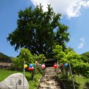 삼국유사의 고장! 경북 군위(軍威) 제Ⅴ편:기타 탐방 명소들