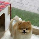 슈멍드아 이미지