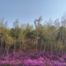 호암미술관 이미지