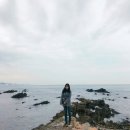 장군참가자미
