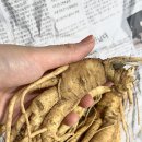 미르인삼사 | 산지직송 영주 인삼으로 이열치열 보양식 제대로 즐기기