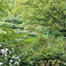 모네의 정원 이미지