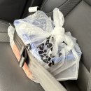 곡성건강약국 | 올해의 마지막은 곡성에서 아기랑