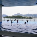 Pool&Sauna (풀&사우나) 이미지