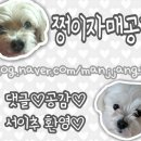 [보성선운제다]세작/녹차 추천&amp;후기