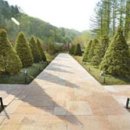 신촌숲 1 이미지