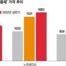행진페인트 이미지
