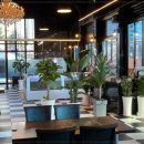 진세이로무시 이미지