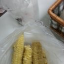 희자농장 이미지