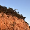 더별꽃 | [충남] 태안 여행은 투어패스 하나로 끝! 🌊꽃·바다·빛·공방 다 담은 코스 추천