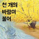 416443사일육사백사십삼일(이름없는공연416연작) -김화순개인전,광주 무등갤러리 이미지