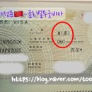 글로벌투굿비자 이미지