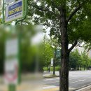 새 직장 적응기 | 3주차 | 연세여 사랑한다 후기
