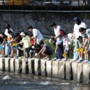 무주반딧불맛집 이미지