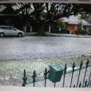한겨울 우박이 눈처럼 온 호주 시드니 거리 표정들 이미지