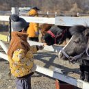 그루밍, 안나 이미지