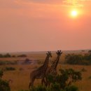 물건가든민박 이미지