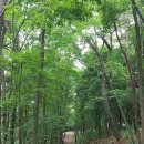 두류공원 스케이트장 이미지