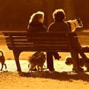 분당데이지동물병원 이미지