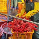 무한식당 이미지